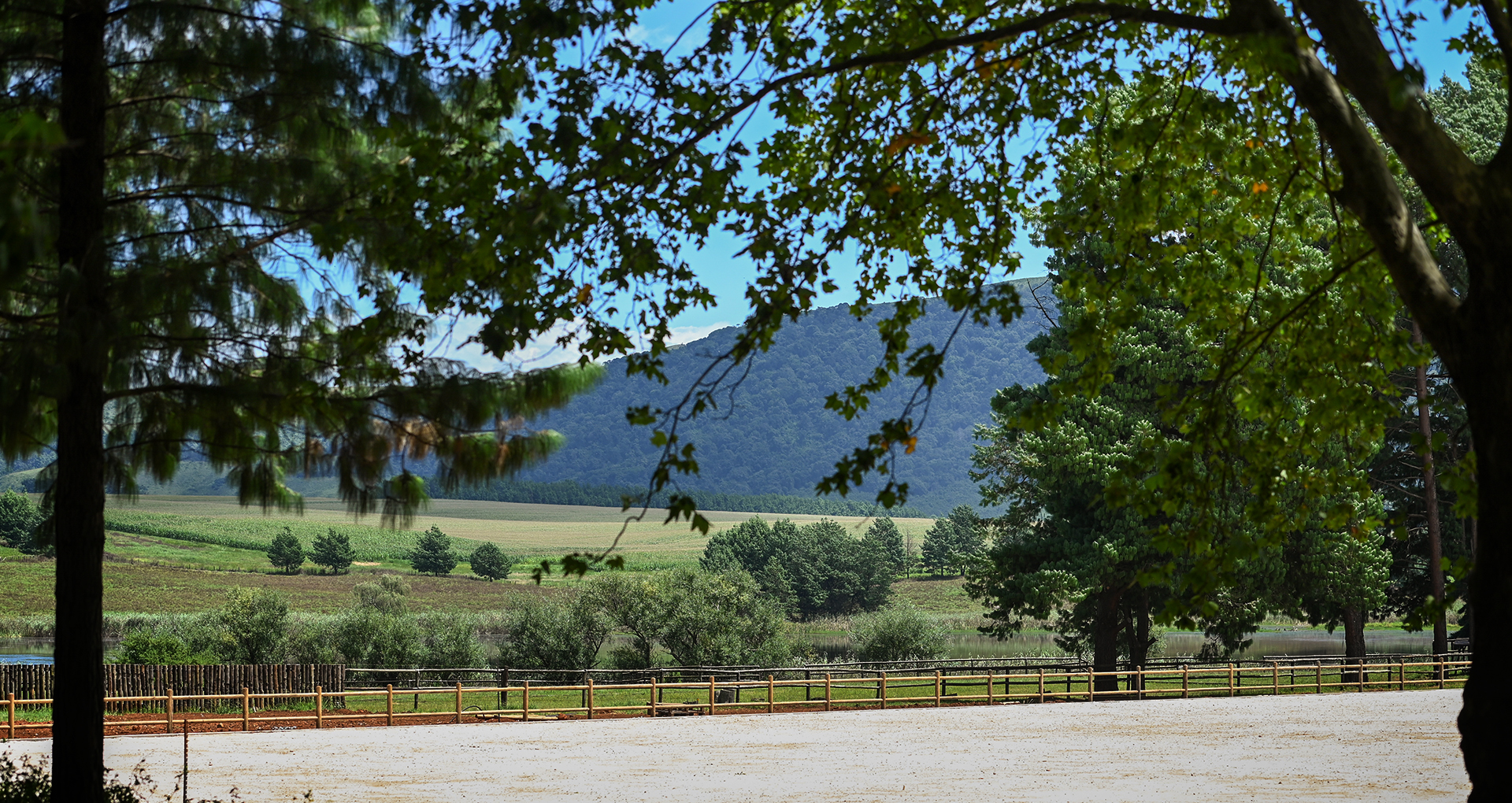 home_slider2
